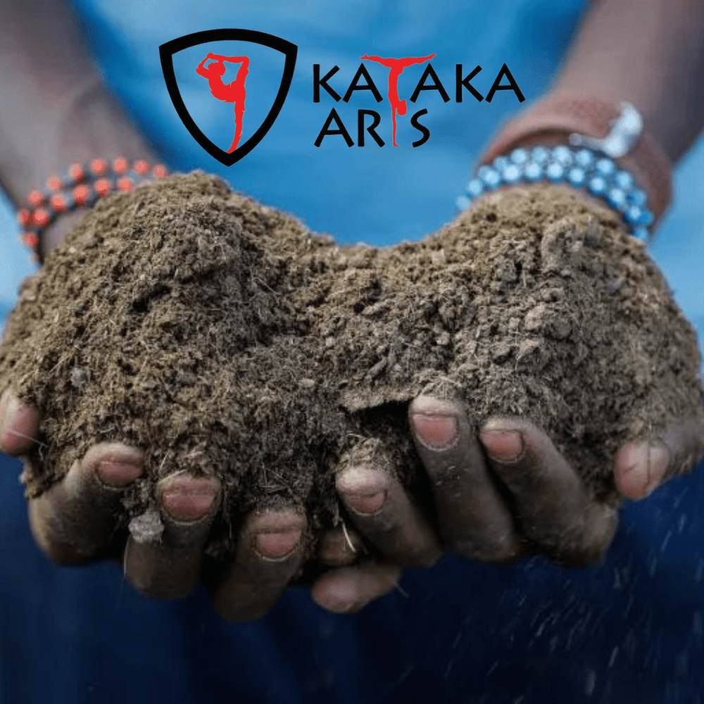 Discover the Meaning of Kataka in Gymnastics | Veii Apparel
