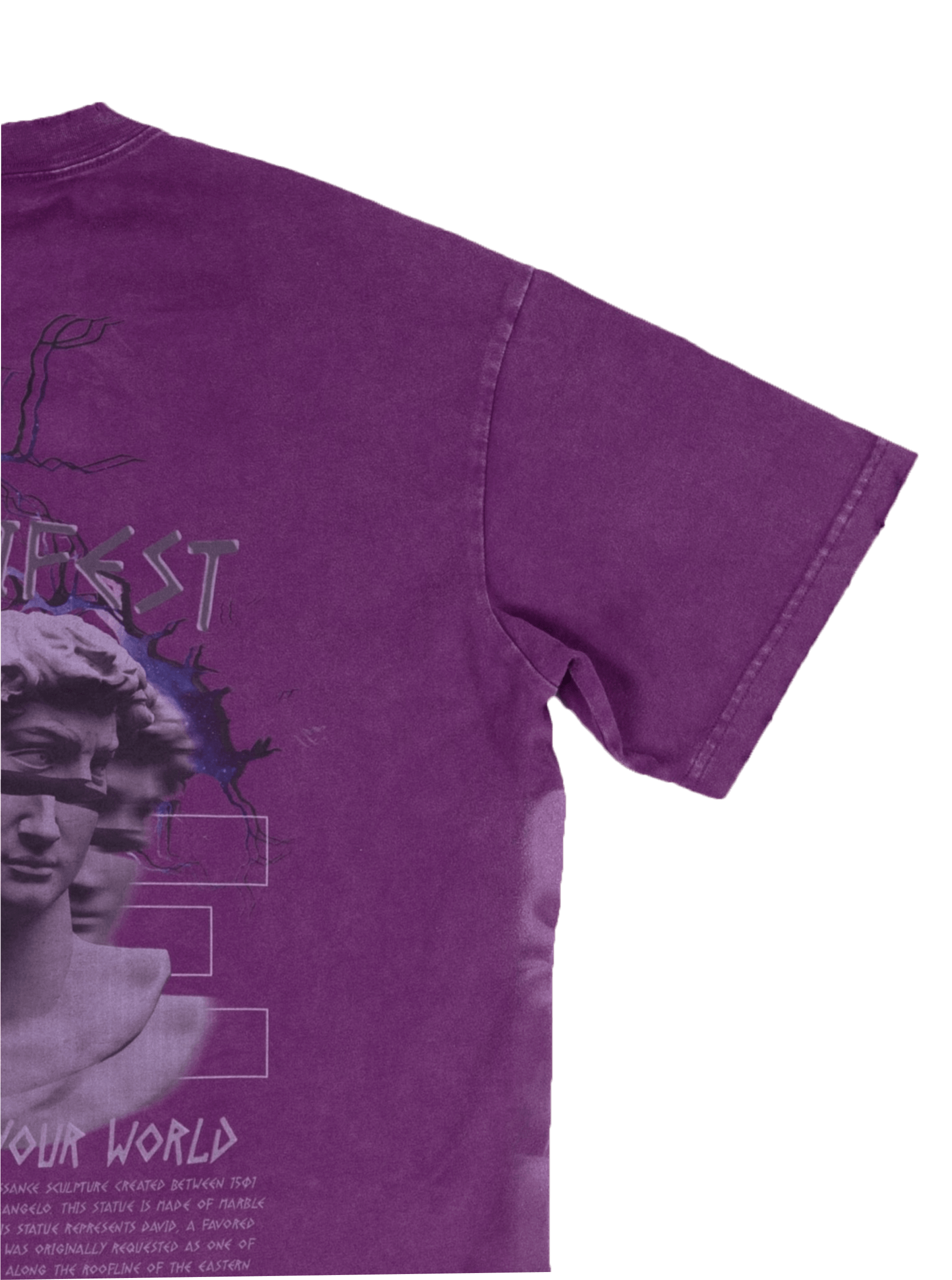 back left purple Manifest Tee Veii Apparel