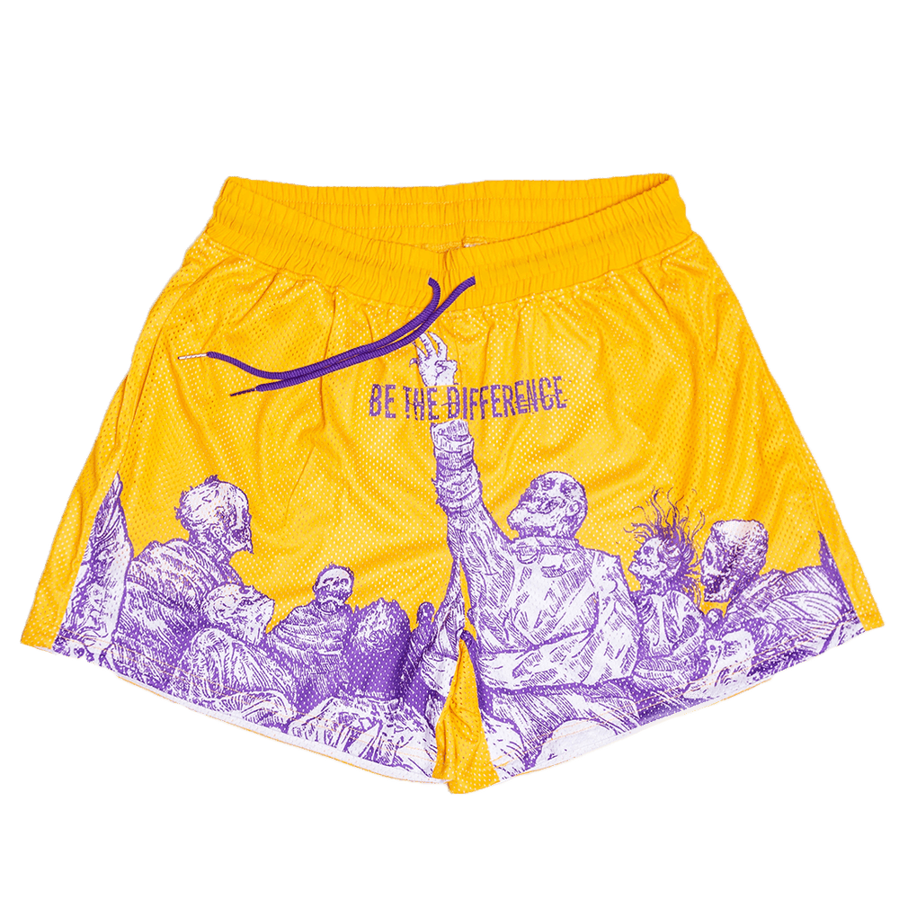 Lakers mesh shorts assassin